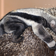 Image for article titled The Anteater Baby Jesus Forgives You For Touching Yourself